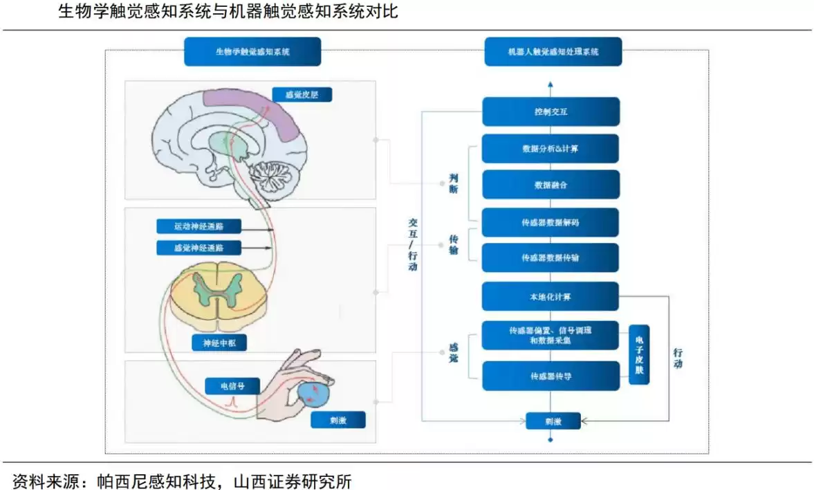 触觉感知新纪元：电子皮肤引爆百亿市场，重塑机器人未来