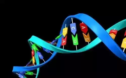 PCR技术：60年复制奇迹，让微量DNA颠覆世界！