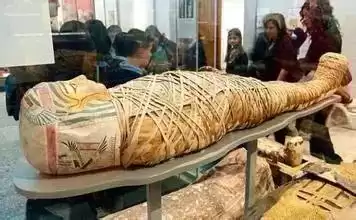 PCR技术：60年复制奇迹，让微量DNA颠覆世界！