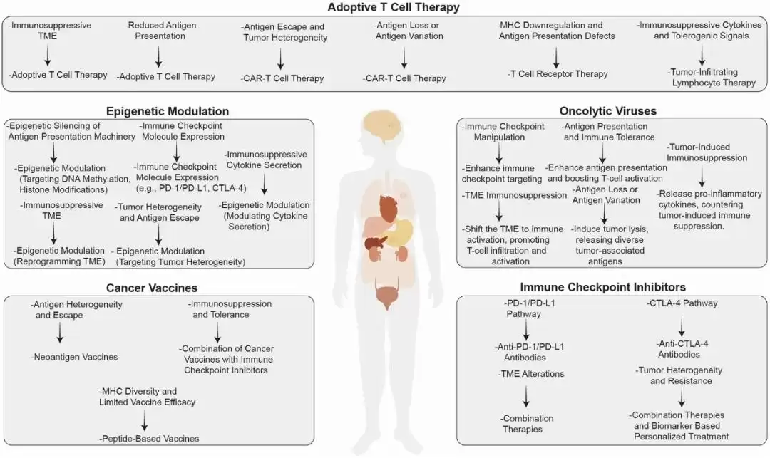 肿瘤免疫逃逸终极解密：六大“隐身术”与前沿破防之道