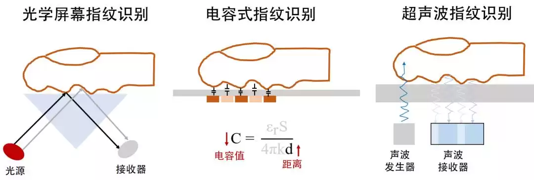 光之密语:从指尖解锁到健康感知,光学生物传感器如何重塑未来-第2张图片-正海烽科技 - 领先的只能推广行业,智能制造解决方案提供商 光之密语:从指尖解锁到健康感知,光学生物传感器如何重塑未来-第2张图片-正海烽科技 - 领先的只能推广行业,智能制造解决方案提供商