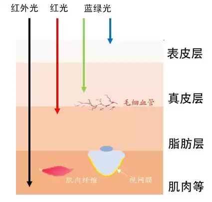 光之密语:从指尖解锁到健康感知,光学生物传感器如何重塑未来-第4张图片-正海烽科技 - 领先的只能推广行业,智能制造解决方案提供商 光之密语:从指尖解锁到健康感知,光学生物传感器如何重塑未来-第4张图片-正海烽科技 - 领先的只能推广行业,智能制造解决方案提供商