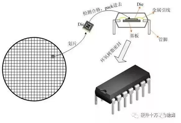芯片设计大：中文系零基础也能轻松搞懂！