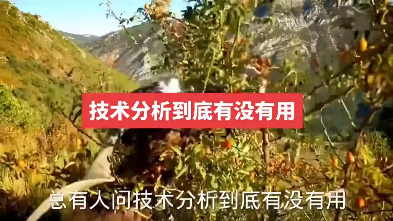 技术分析是交易废纸还是财富密码？短线生存指南大！