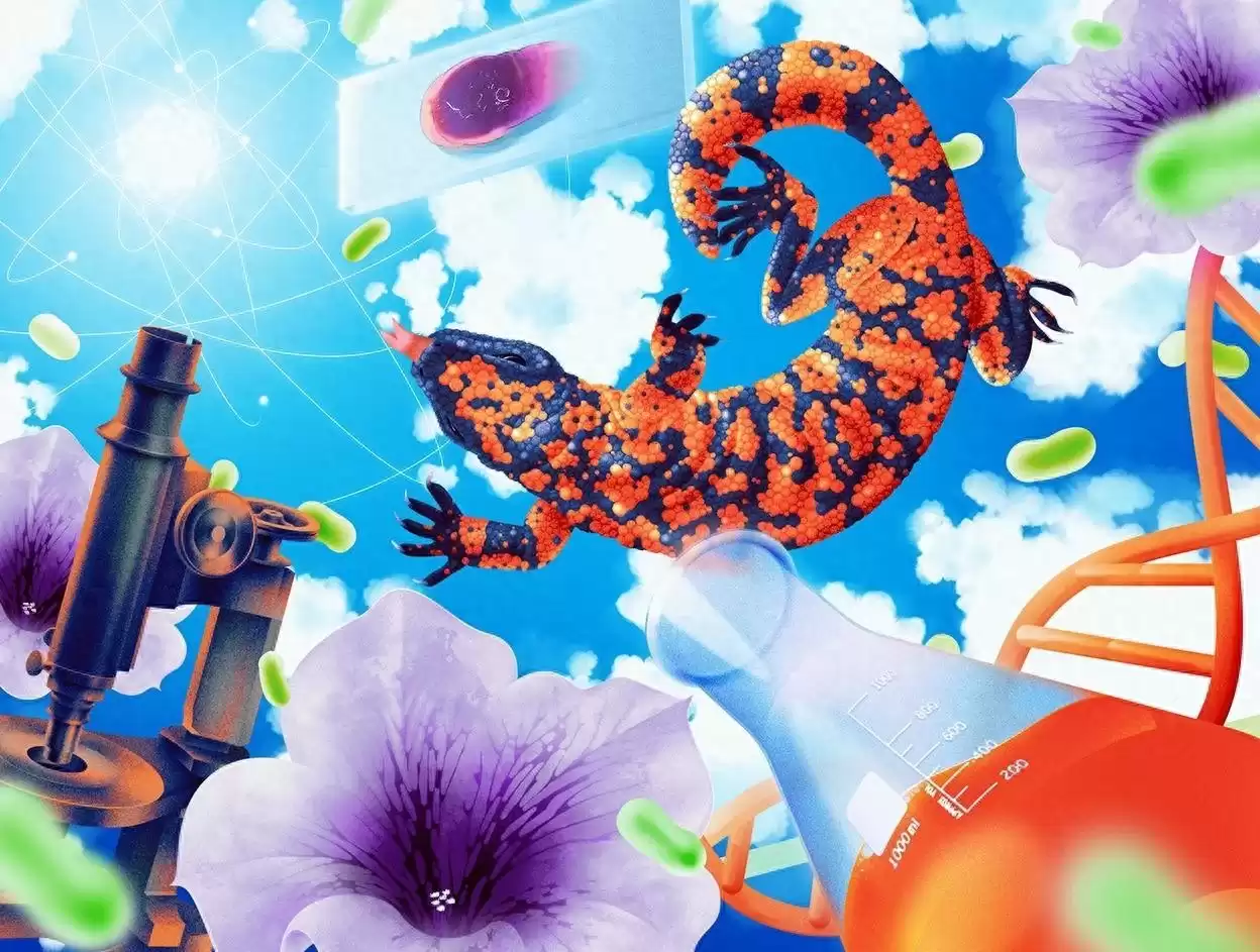 颠覆未来!七项“无用”研究如何悄然重塑世界? 颠覆未来!七项“无用”研究如何悄然重塑世界?