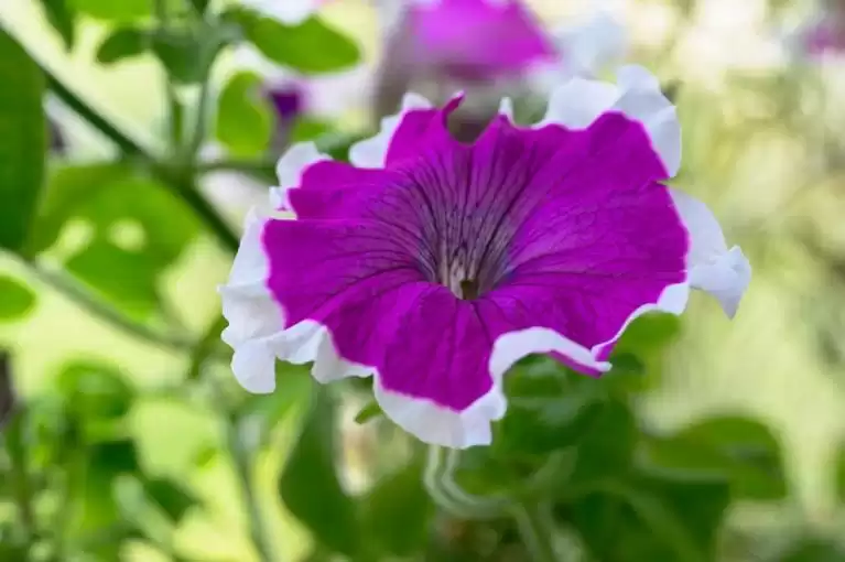 颠覆未来!七项“无用”研究如何悄然重塑世界? 颠覆未来!七项“无用”研究如何悄然重塑世界?