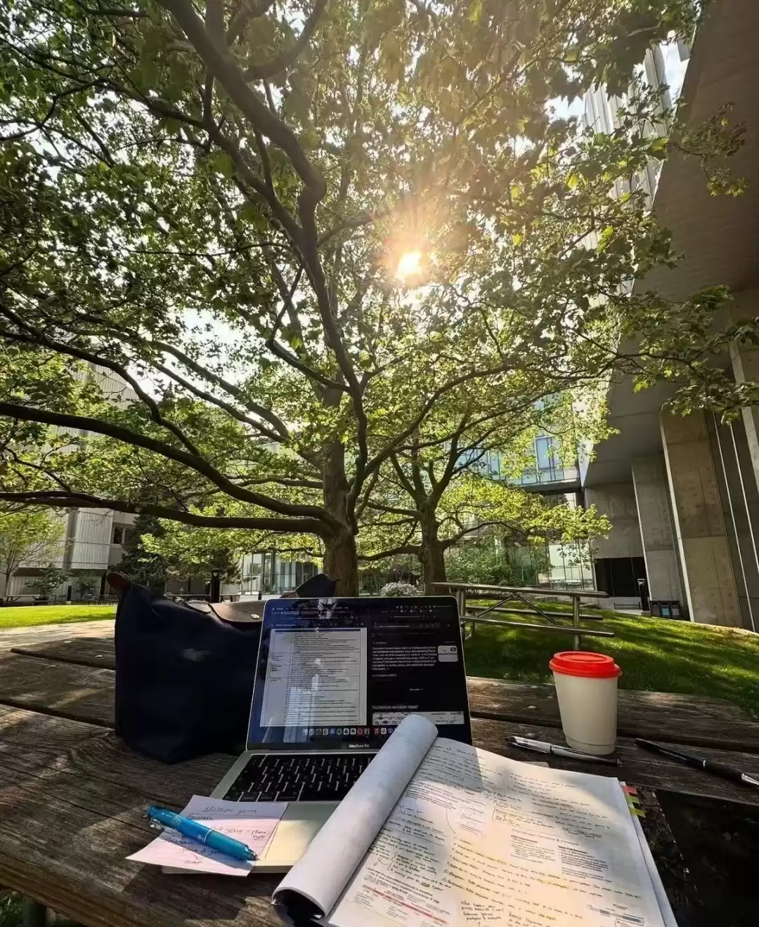 2026电商腾飞指南：8大高含金量证书，秒变高薪收割机！