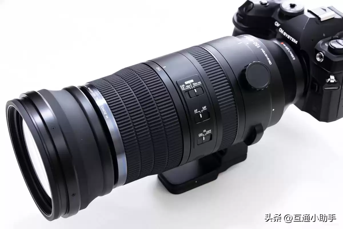 零基础也能拍出大片！野鸟摄影终极指南：从镜头到参数，一步到位