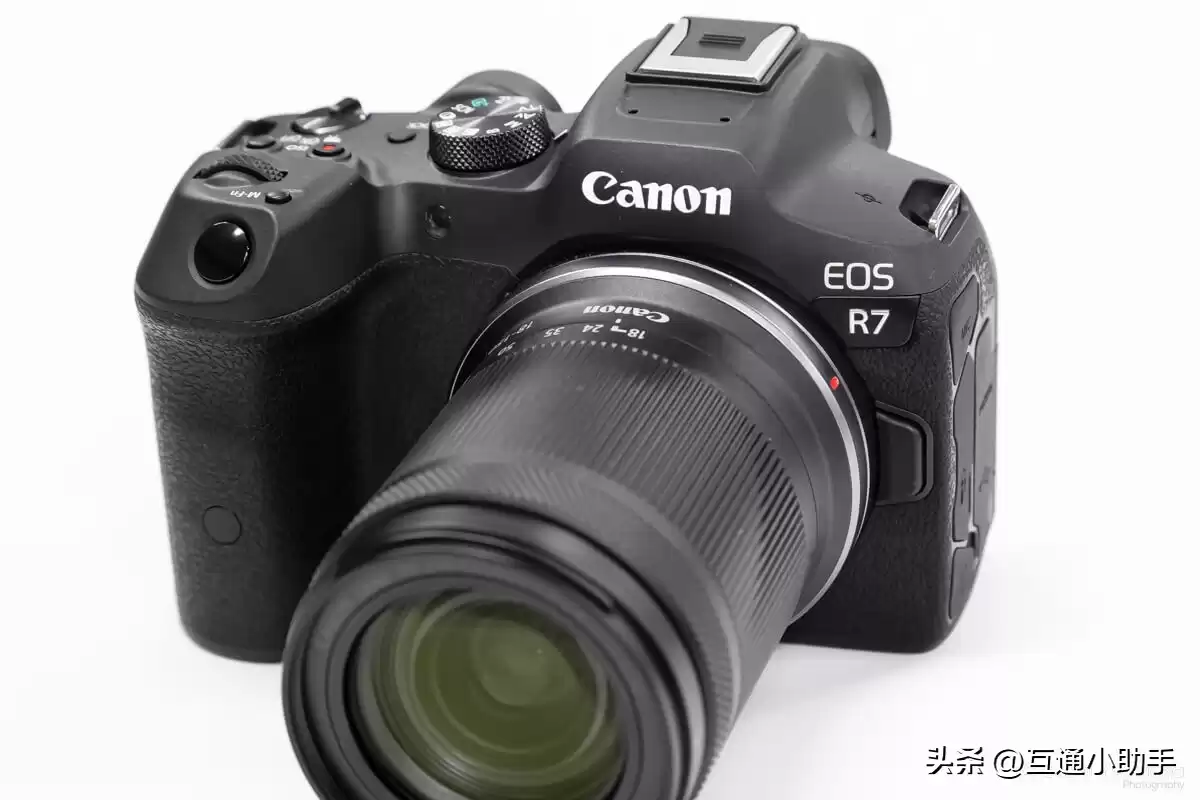 零基础也能拍出大片！野鸟摄影终极指南：从镜头到参数，一步到位