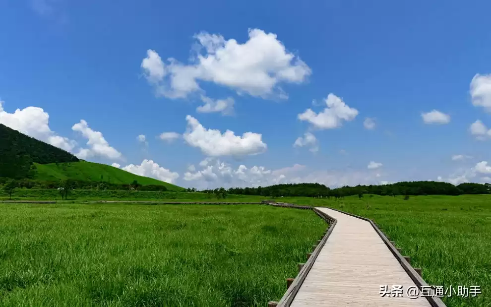 零基础也能拍出大片！野鸟摄影终极指南：从镜头到参数，一步到位