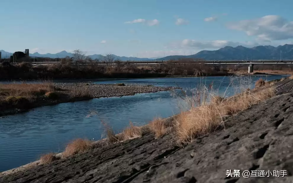 零基础也能拍出大片！野鸟摄影终极指南：从镜头到参数，一步到位