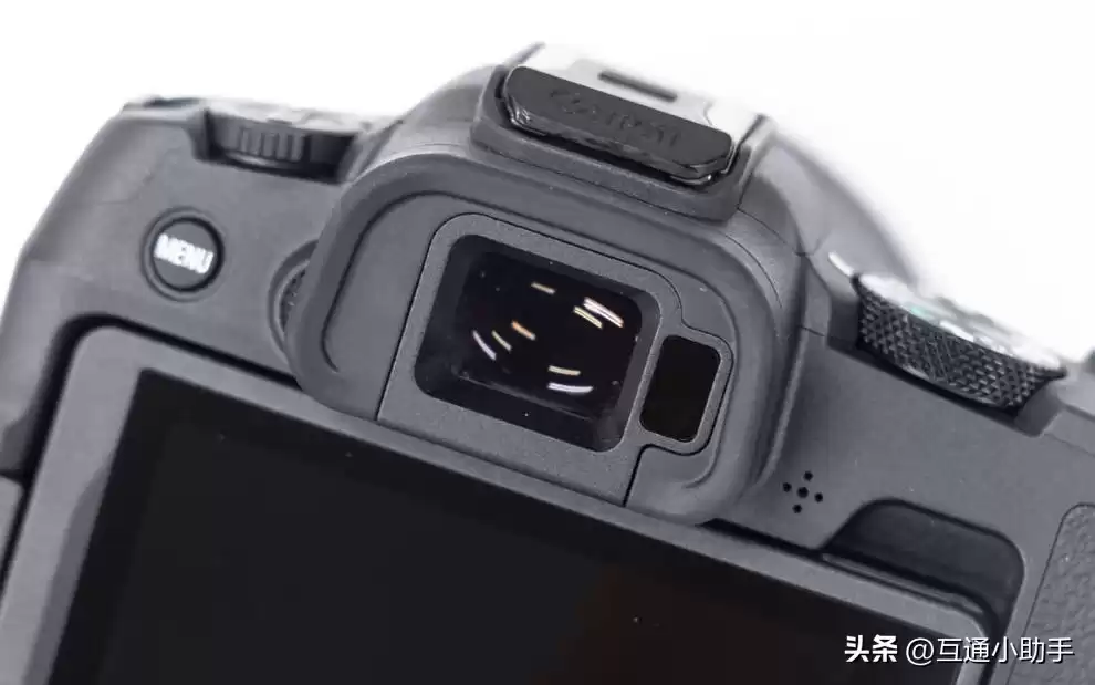 零基础也能拍出大片！野鸟摄影终极指南：从镜头到参数，一步到位