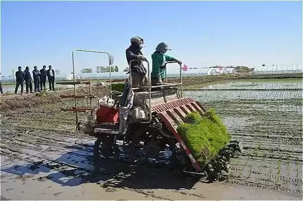 农业未来已来！十项颠覆性技术，你必须立刻掌握！