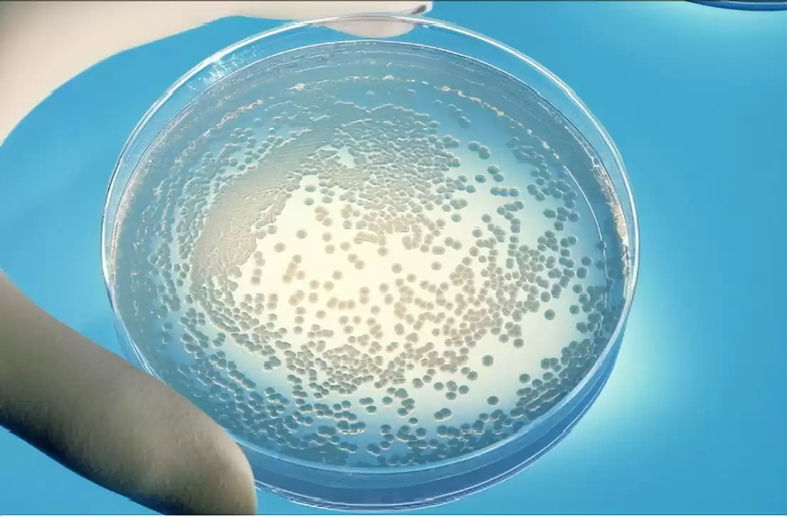 DNA克隆革命：科研成果大曝光，永生梦想近在咫尺？