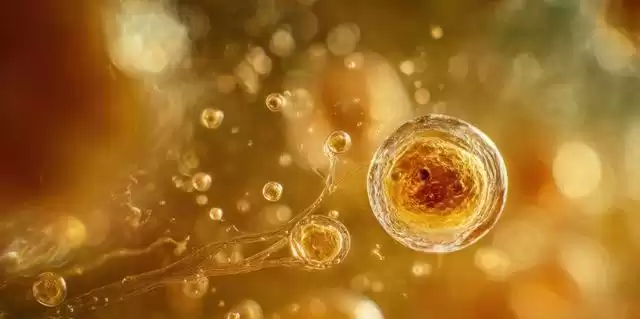 泰国试管婴儿技术：四大核心黑科技，揭秘全球领先之谜！-第2张图片-正海烽科技 - 领先的只能推广行业，智能制造解决方案提供商