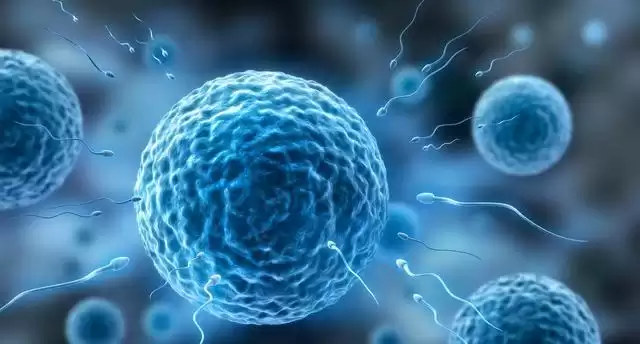 泰国试管婴儿技术：四大核心黑科技，揭秘全球领先之谜！-第3张图片-正海烽科技 - 领先的只能推广行业，智能制造解决方案提供商