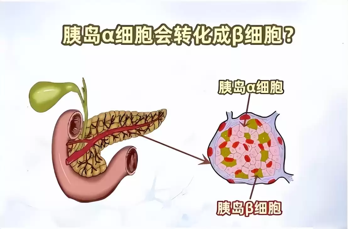 医疗霸权易主？美国神话破灭，中国糖尿病治愈突破震惊世界！