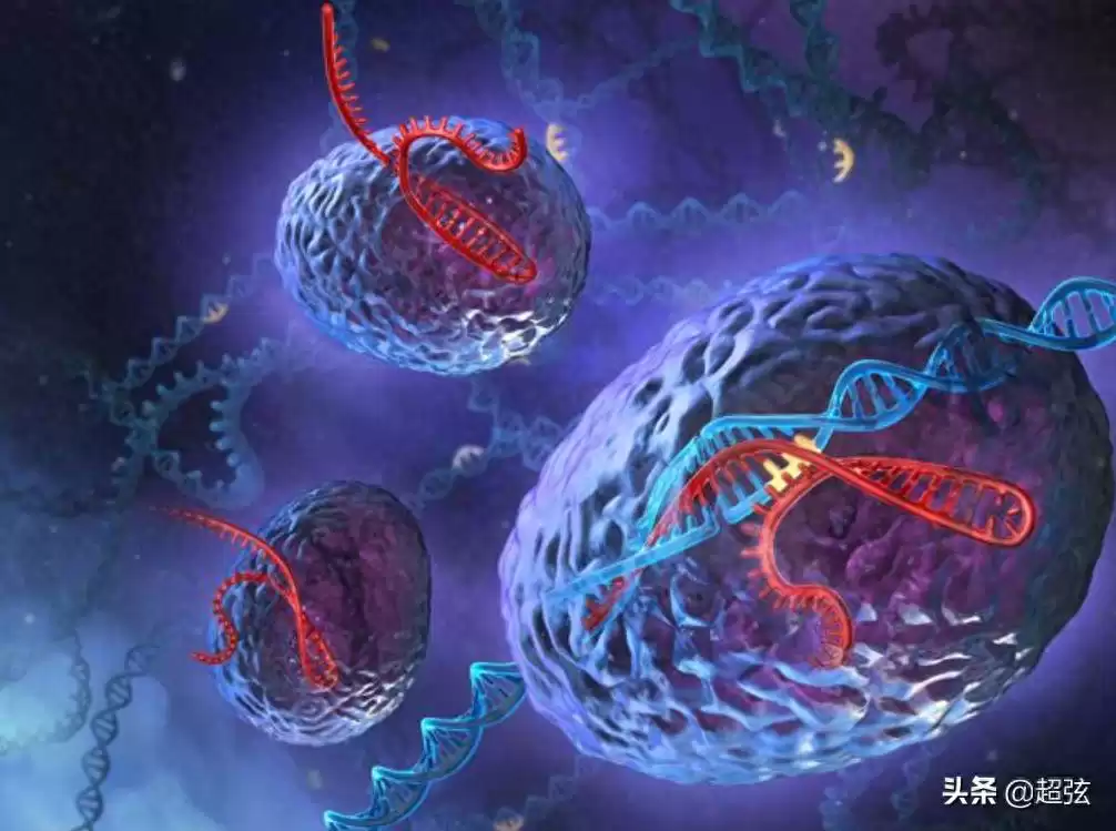 基因驱动:颠覆自然选择,100%遗传黑科技震撼来袭! 基因驱动:颠覆自然选择,100%遗传黑科技震撼来袭!