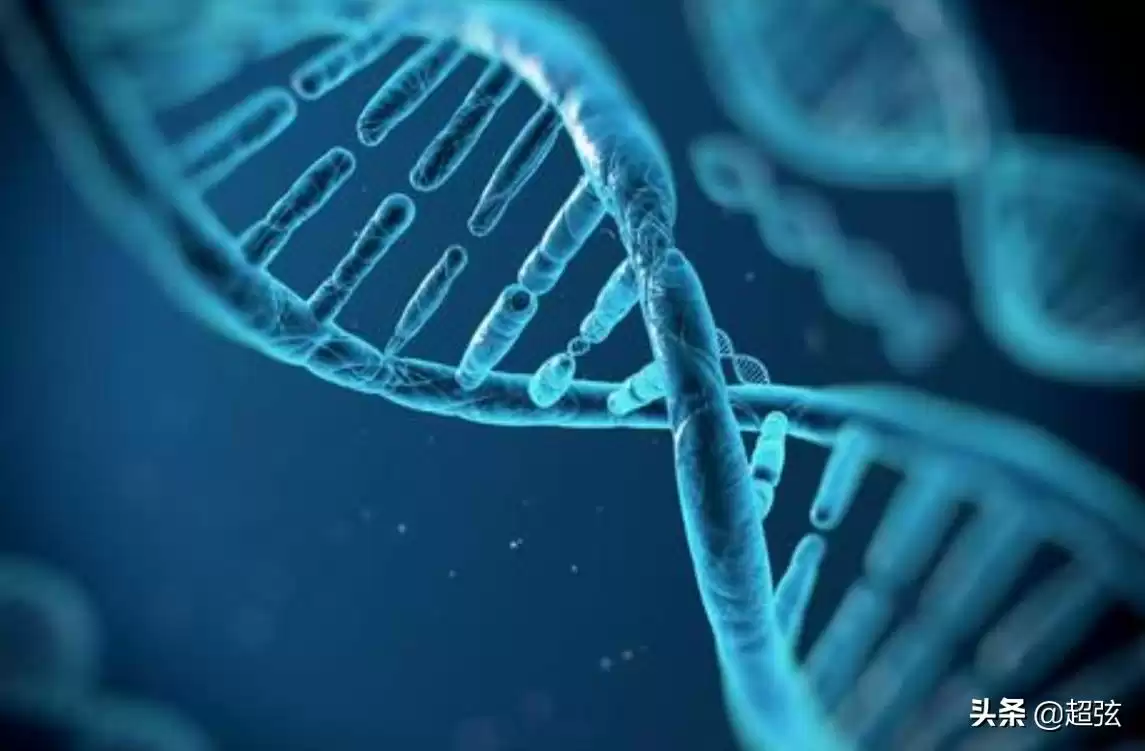 基因驱动:颠覆自然选择,100%遗传黑科技震撼来袭! 基因驱动:颠覆自然选择,100%遗传黑科技震撼来袭!