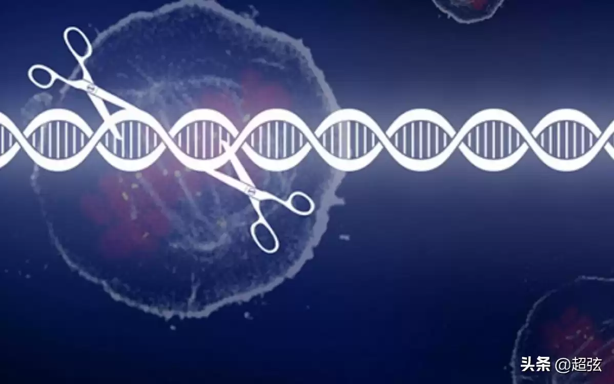 基因驱动:颠覆自然选择,100%遗传黑科技震撼来袭! 基因驱动:颠覆自然选择,100%遗传黑科技震撼来袭!