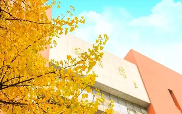 中科大真实面目大起底：是科研圣地还是高压战场？