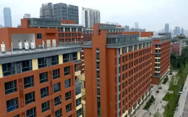 中科大真实面目大起底：是科研圣地还是高压战场？