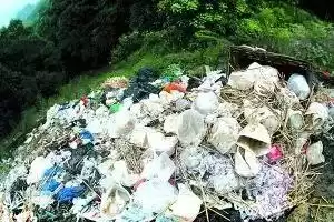 萤火虫灭绝倒计时：年赚百万的暴利，正在吞噬最后的微光！