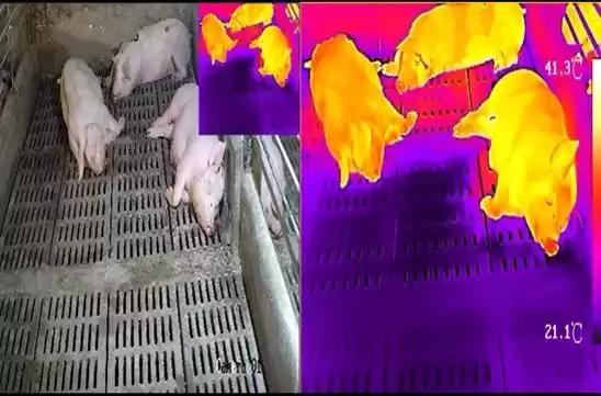 1024开发者节震撼来袭：AI黑科技全景曝光，百场论坛引爆创新浪潮！