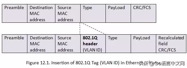 揭秘Overlay网络：为何成为现代集群的“神经系统”？