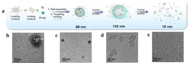 中国纳米技术震撼突破：智能粒子实现癌症精准检测与治疗一体化！