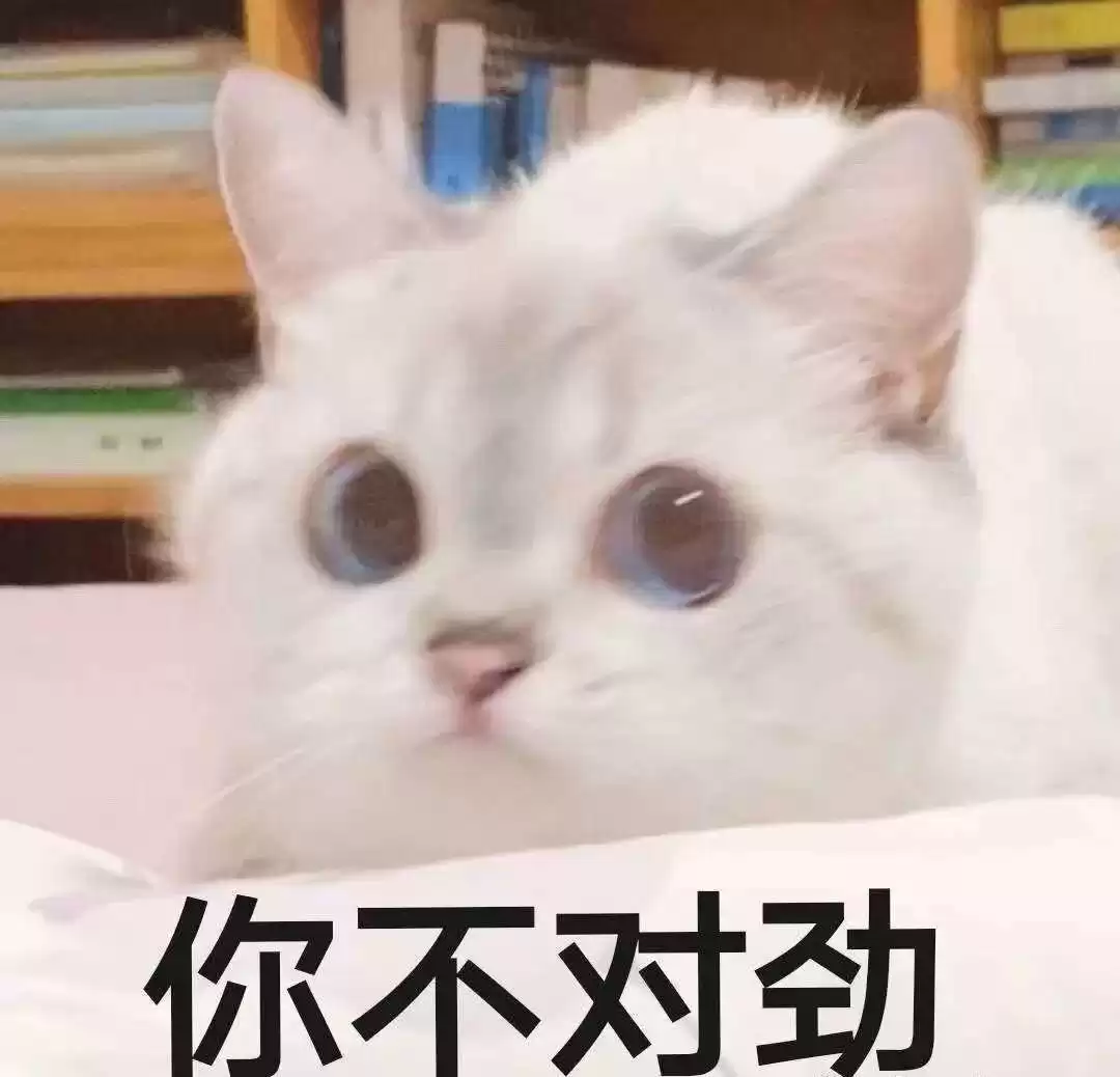 暗号1024：一场AI技术论坛的隐秘狂欢与全民解码行动