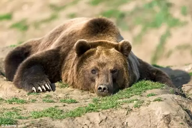 突破维度！三体冬眠技术：道法自然，铸就星际航行新纪元