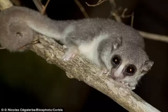 突破维度！三体冬眠技术：道法自然，铸就星际航行新纪元