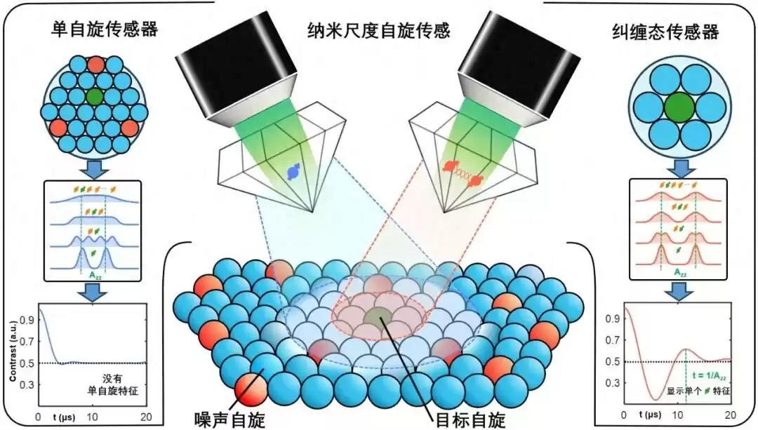 中国科学家突破量子探测极限：在纳米尺度捕捉电子“窃窃私语”