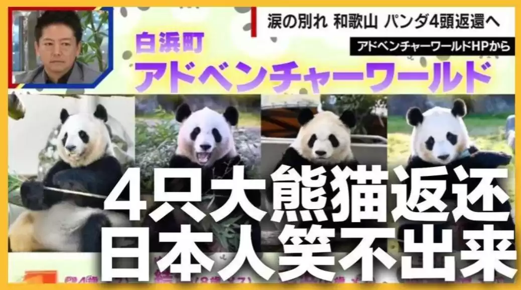 政客一句狂言，日本痛失“国宝级”经济引擎：54年熊猫时代终结，年损超300亿！