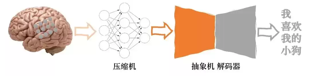 意念透明时代？AI“读心术”正在破译你的脑电波！
