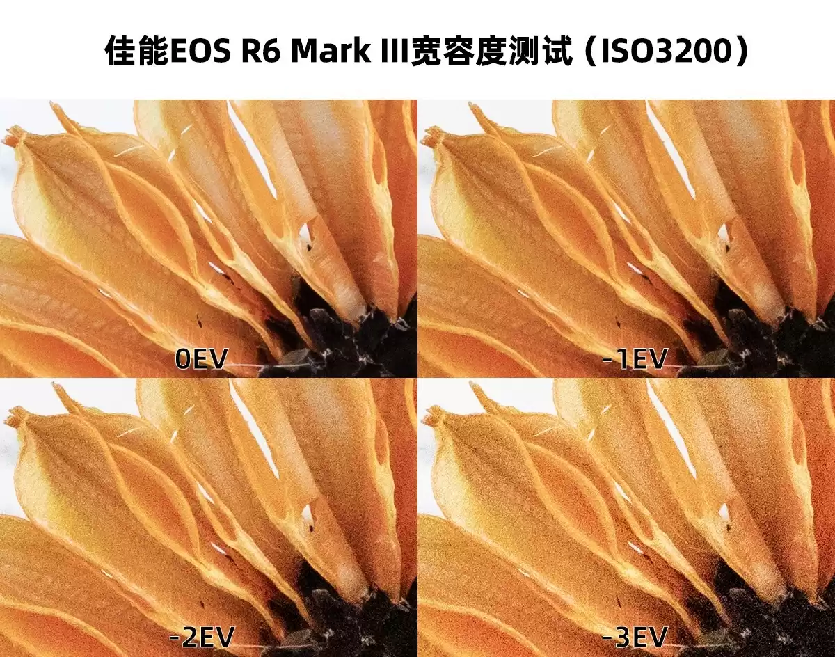 全能王者登场！佳能EOS R6 Mark III深度评测：3250万像素+7K视频，颠覆你的创作想象