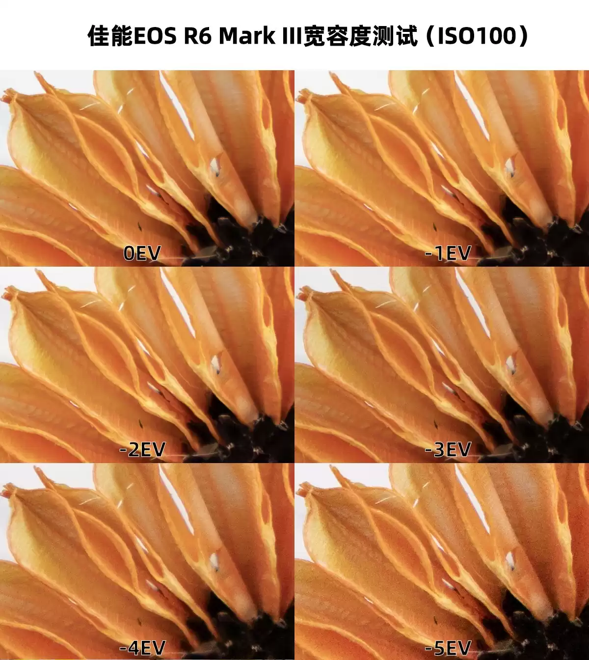 全能王者登场！佳能EOS R6 Mark III深度评测：3250万像素+7K视频，颠覆你的创作想象