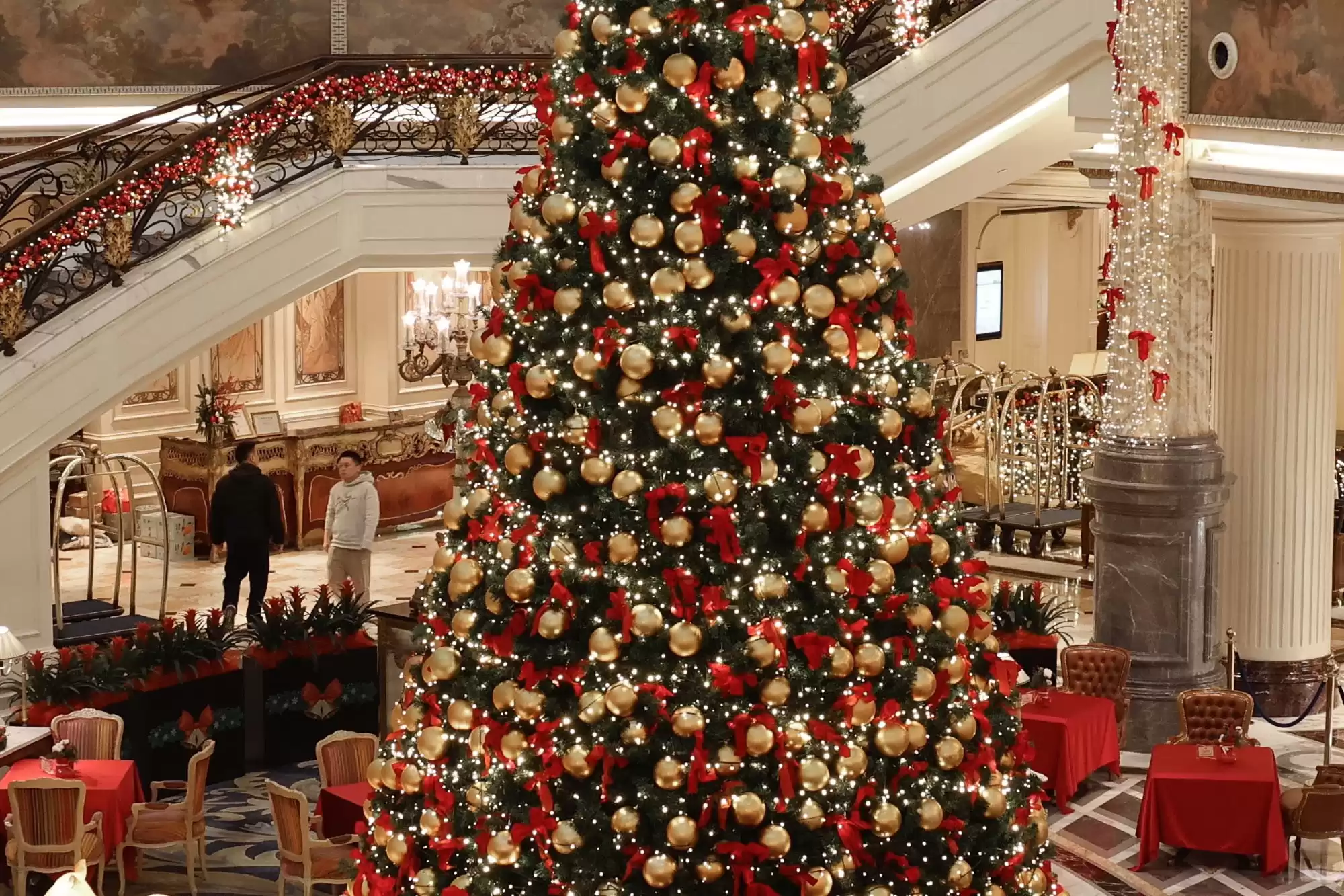 全能王者登场！佳能EOS R6 Mark III深度评测：3250万像素+7K视频，颠覆你的创作想象