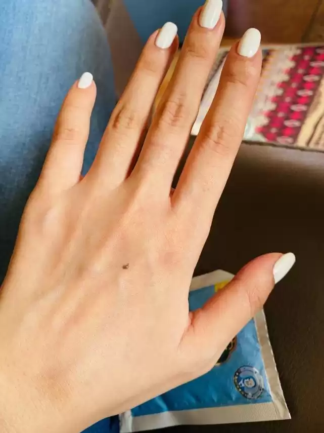 超市挖宝！这3款老牌“万能霜”，几十块用出大牌感！