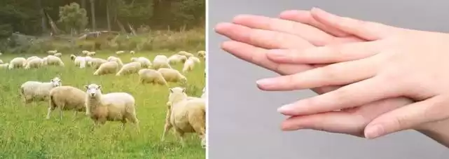 超市挖宝！这3款老牌“万能霜”，几十块用出大牌感！