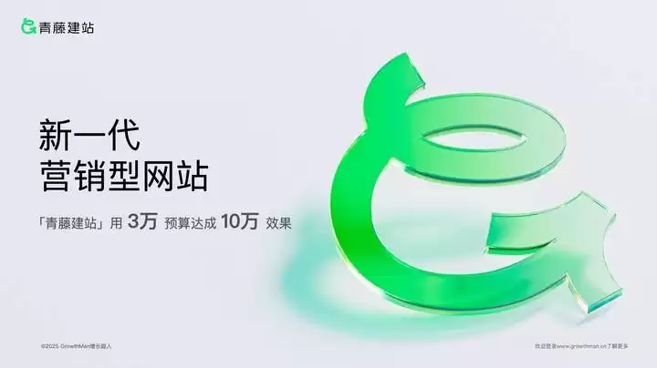 2025年网站建设公司巅峰对决：十大强者权威评测，深度增长引擎！