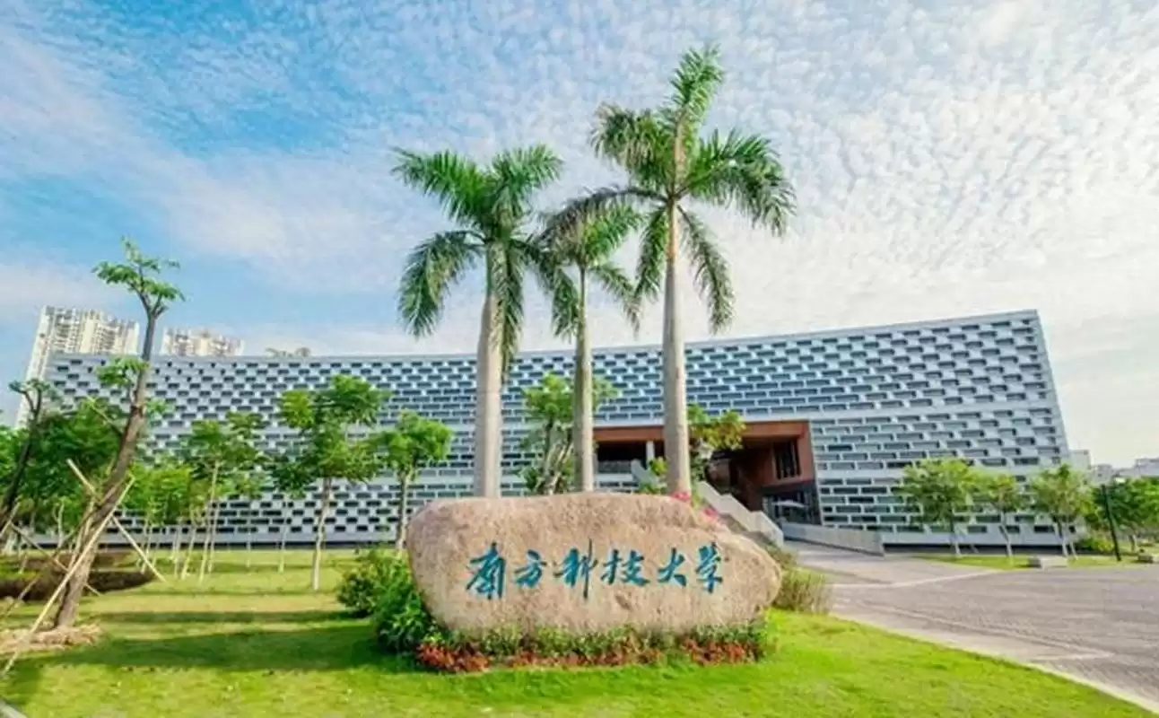 南科大逆袭真相：十年数据揭秘，为何高分家庭弃985选它？