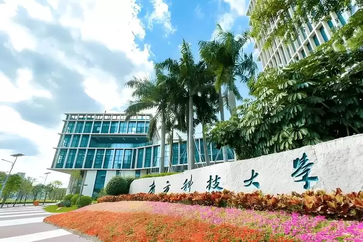 南科大逆袭真相：十年数据揭秘，为何高分家庭弃985选它？