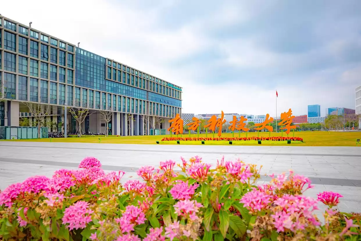 南科大逆袭真相：十年数据揭秘，为何高分家庭弃985选它？