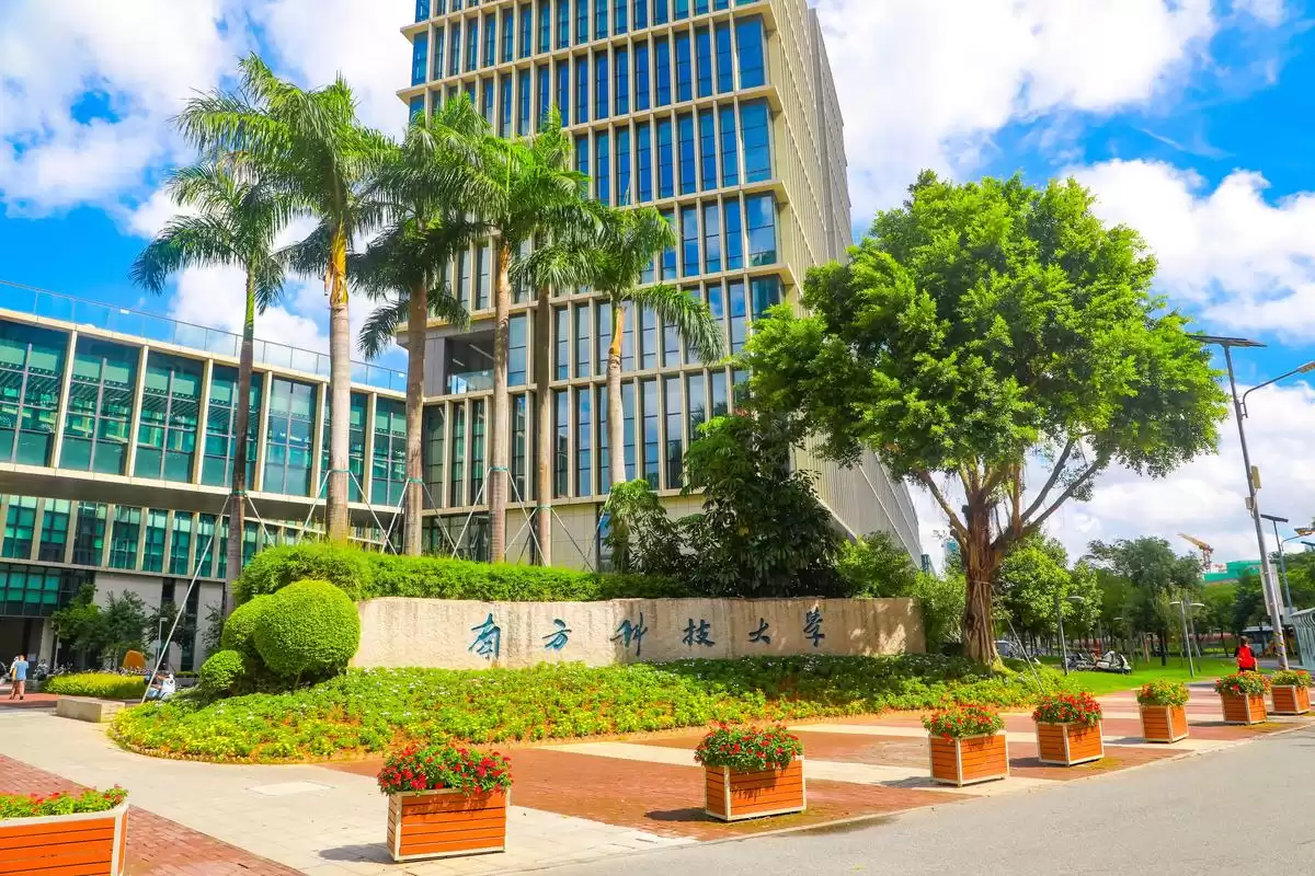 南科大逆袭真相：十年数据揭秘，为何高分家庭弃985选它？