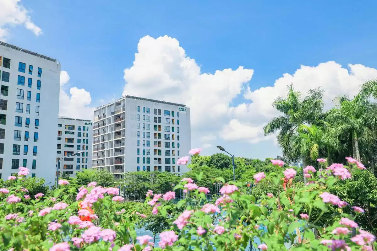 南科大逆袭真相：十年数据揭秘，为何高分家庭弃985选它？