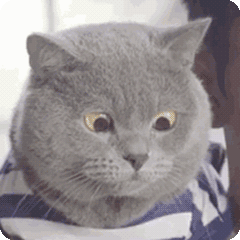 警惕！微粒贷内部渠道强开骗局大，多人已中招