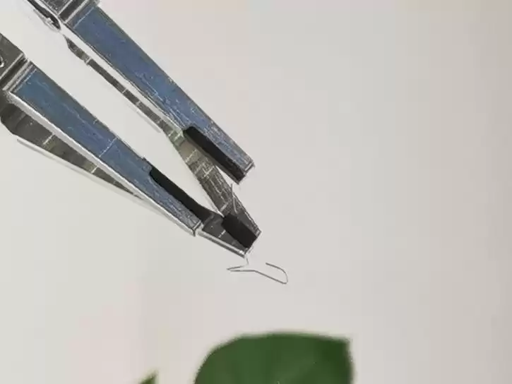 破冰之战：国产神外高值耗材以技术下沉逆袭，打破外资垄断神话！