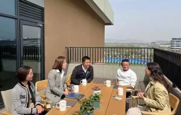 马云回国百日巨变：阿里战略重整与民营经济新机遇